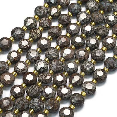 Natural Red Snowflake Obsidian Beads Strands G-C116-A11-02-1