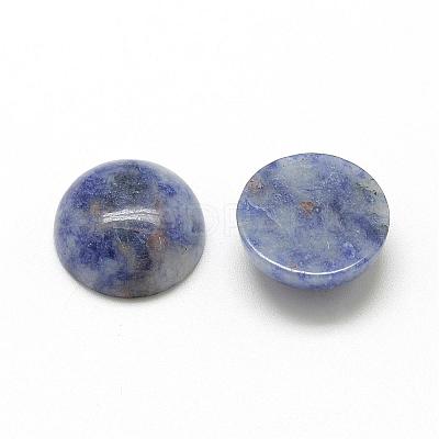 Natural Blue Spot Jasper Cabochons G-R416-14mm-45-1