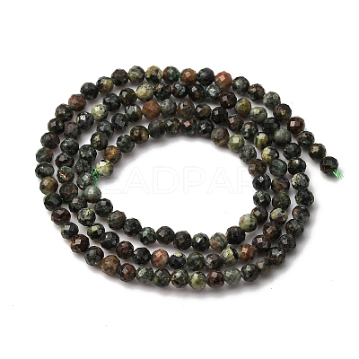 Natural Seraphinite Beads Strands G-RM2025-A42-3mm-1