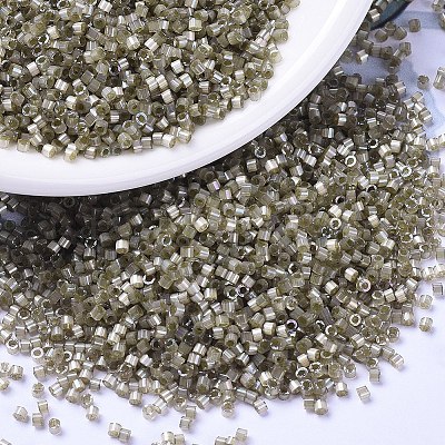 MIYUKI Delica Beads X-SEED-J020-DB1876-1