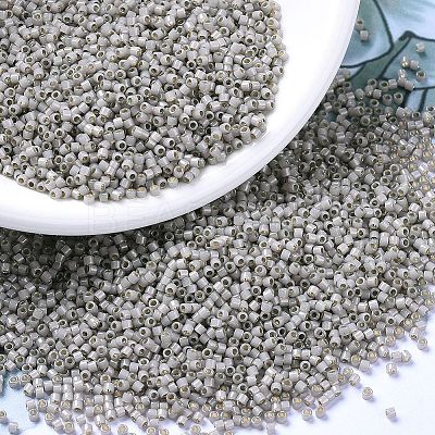 MIYUKI Delica Beads X-SEED-J020-DB1456-1