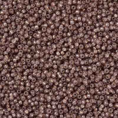 MIYUKI Round Rocailles Beads X-SEED-G008-RR0641-1