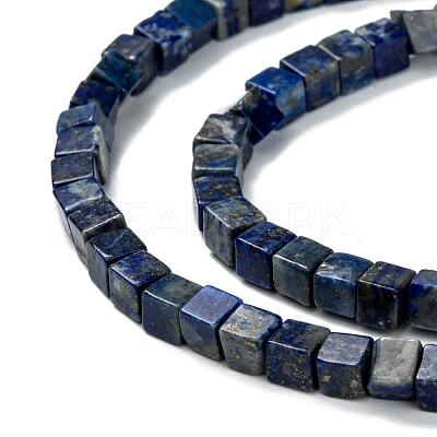 Natural Lapis Lazuli Beads Strands G-F631-K05-1