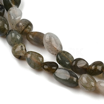 Natural Labradorite Beads Strands LS-G-C250-03-1