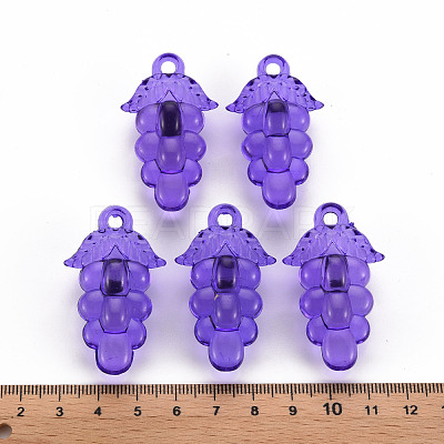 Autumn Theme Transparent Acrylic Beads TACR-S154-60B-936-1