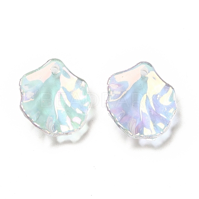 Transparent Acrylic Pendants X-MACR-C009-06-1