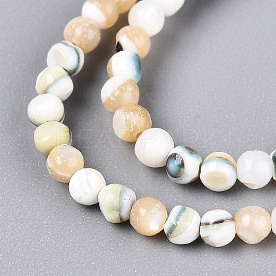 Luminous Natural Seashell Shell Beads Strands SSHEL-N040-05-1