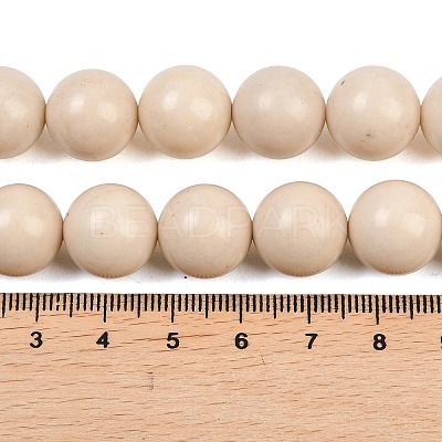 Natural Fossil Beads Strands G-E110-14mm-2-1
