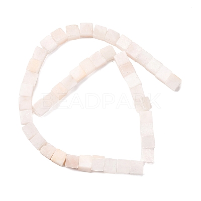 Natural Selenite Beads Strands G-B155-C08-8x8mm-1