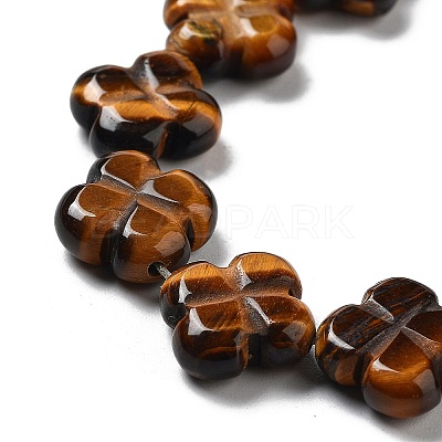 Natural Tiger Eye Beads Strands G-P520-A09-01-1