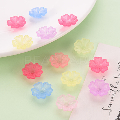 Transparent Frosted Acrylic Bead Caps X-MACR-S371-04A-1
