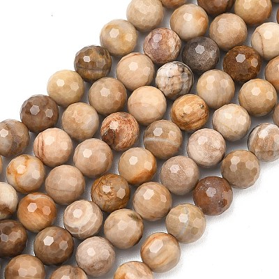 Natural Petrified Wood Beads Strands G-L642-F09-8mm-1