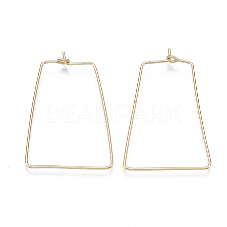 Brass Earring Hooks KK-T038-425G-1