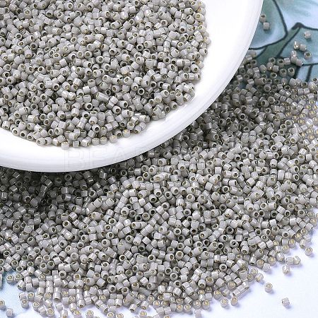 MIYUKI Delica Beads X-SEED-J020-DB1456-1