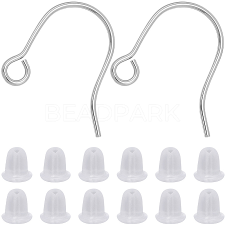 20Pcs 316 Surgical Stainless Steel Earring Hooks STAS-BBC0008-55P-1