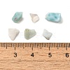 Natural Larimar Chip Beads G-Q193-01A-3