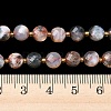 Natural Red Tree Agate Beads Strands G-K389-B89-01-5