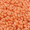 Glass Seed Beads SEED-L011-04A-04-3