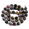 Natural Indian Agate Beads Strands G-T131-77A-2