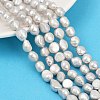 Natural Cultured Freshwater Pearl Beads Strands PEAR-P064-20K-03E-1
