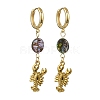 Ocean 304 Stainless Steel and Paua Shell Dangle Earrings EJEW-JE07109-3