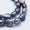 Natural Cultured Freshwater Pearl Beads Strands PEAR-K004-02B-3