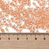 Glass Seed Beads SEED-K009-08B-02-4