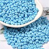 Baking Paint Glass Seed Beads SEED-B001-02A-12-1