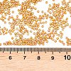 MIYUKI Delica Beads SEED-X0054-DB2303-3