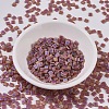 MIYUKI TILA Beads SEED-X0054-TL0134FR-2