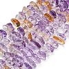 Natural Ametrine Beads Strands G-Z124-A02-01-2