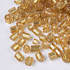 6/0 Two Cut Glass Seed Beads SEED-S033-05B-04-2