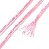 10 Skeins 6-Ply Polyester Embroidery Floss OCOR-K006-A09-3