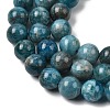Natural Apatite Beads Strands G-F674-04-8mm-5