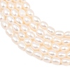 Natural Cultured Freshwater Pearl Beads Strands PEAR-D003-01D-05-4
