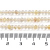 Natural Rutilated Quartz Beads Strands G-J400-C11-02-5