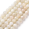 Natural White Moonstone Beads Strands G-F674-08-10mm-01-2
