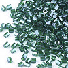 FGB Grade A Glass Seed Beads SEED-S022-03P-2