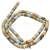 2 Strands Natural Flower Amazonite Beads Strands G-PA0001-50-7