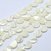 Natural White Shell Beads Strands X-SSHEL-12X11-3