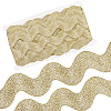 10 Yard Metallic Polyester Wavy Fringe Trim Ribbon SRIB-GF0001-38T-1