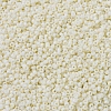 MIYUKI Round Rocailles Beads SEED-G007-RR0491-3