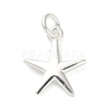 925 Sterling Silver Charms FIND-Z069-04S-A-1