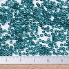 MIYUKI Round Rocailles Beads X-SEED-G007-RR2406-4