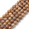 Natural Maifanite/Maifan Stone Beads Strands X-G-P451-01A-C-2
