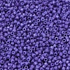 MIYUKI Delica Beads SEED-JP0008-DB2359-2
