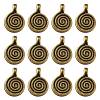 Tibetan Style Alloy Charms MLF0339Y-1