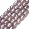 Natural Cultured Freshwater Pearl Beads Strands PEAR-J006-10D-01A-1