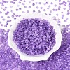 Baking Paint Glass Seed Beads GLAA-T023-43F-1