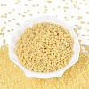 8/0 Glass Seed Beads SEED-US0003-3mm-142-1